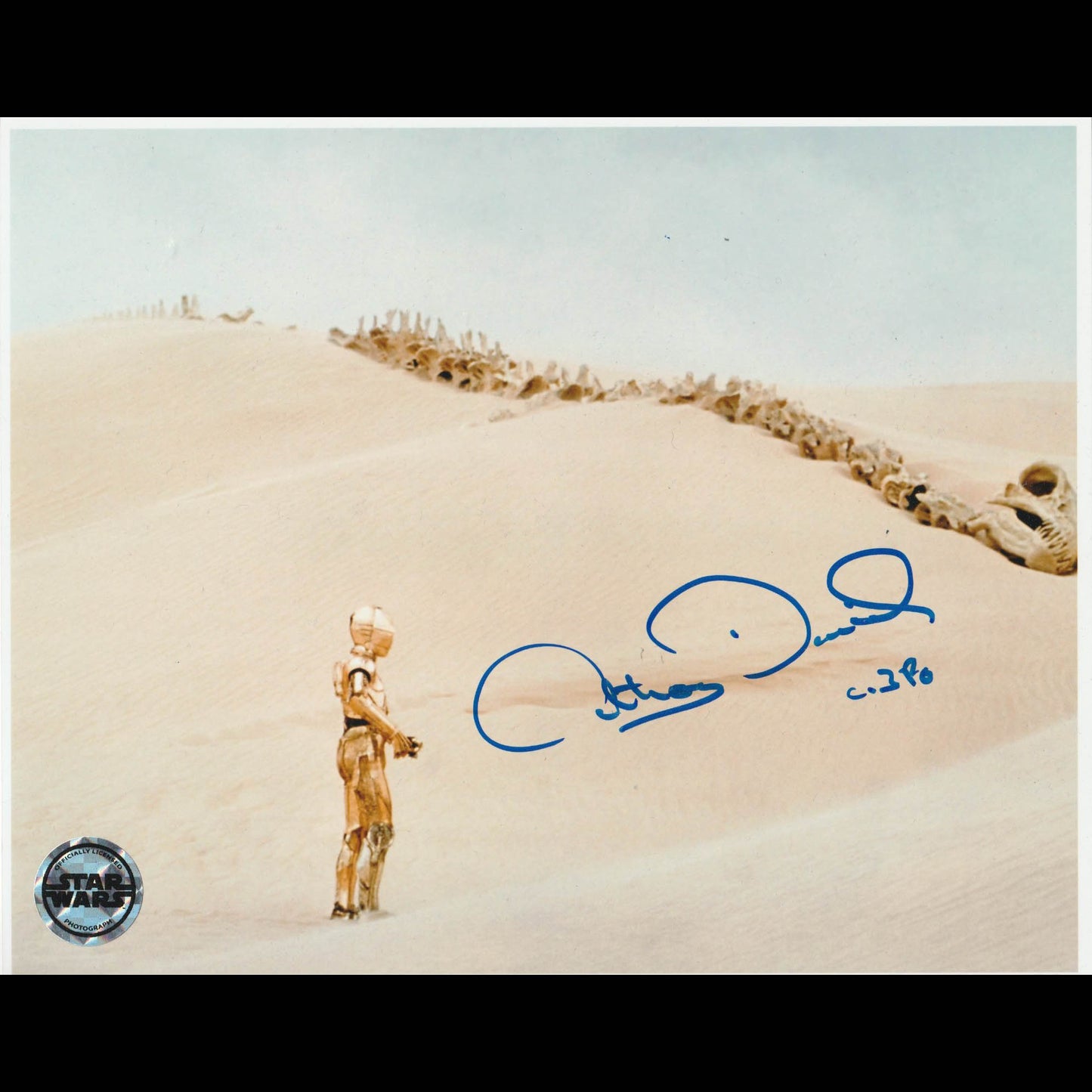 Anthony Daniels