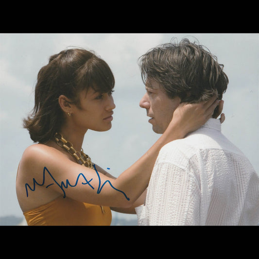 Mathieu AMALRIC