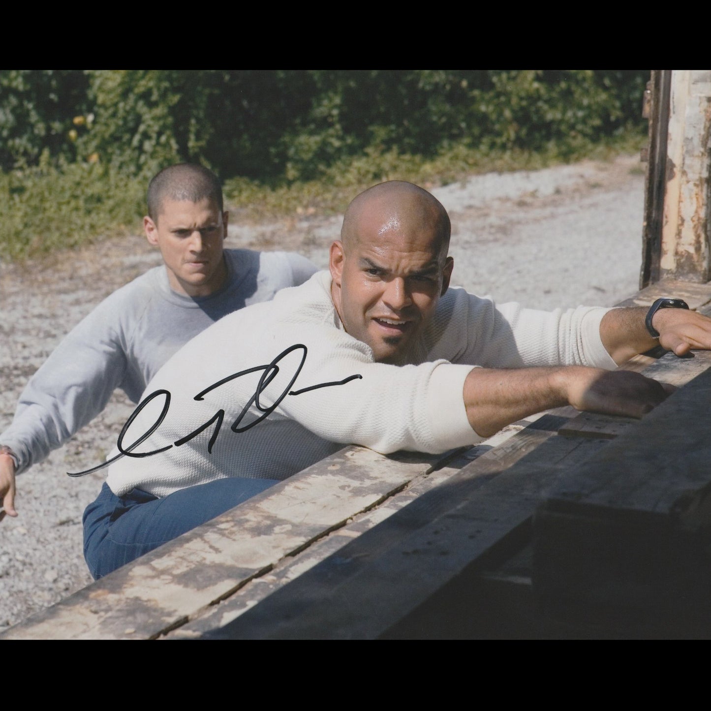 Amaury NOLASCO (Prison Break)