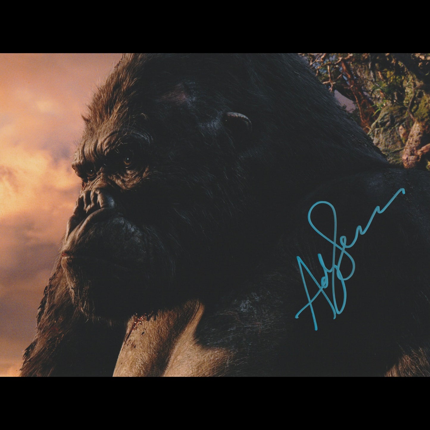 Andy SERKIS