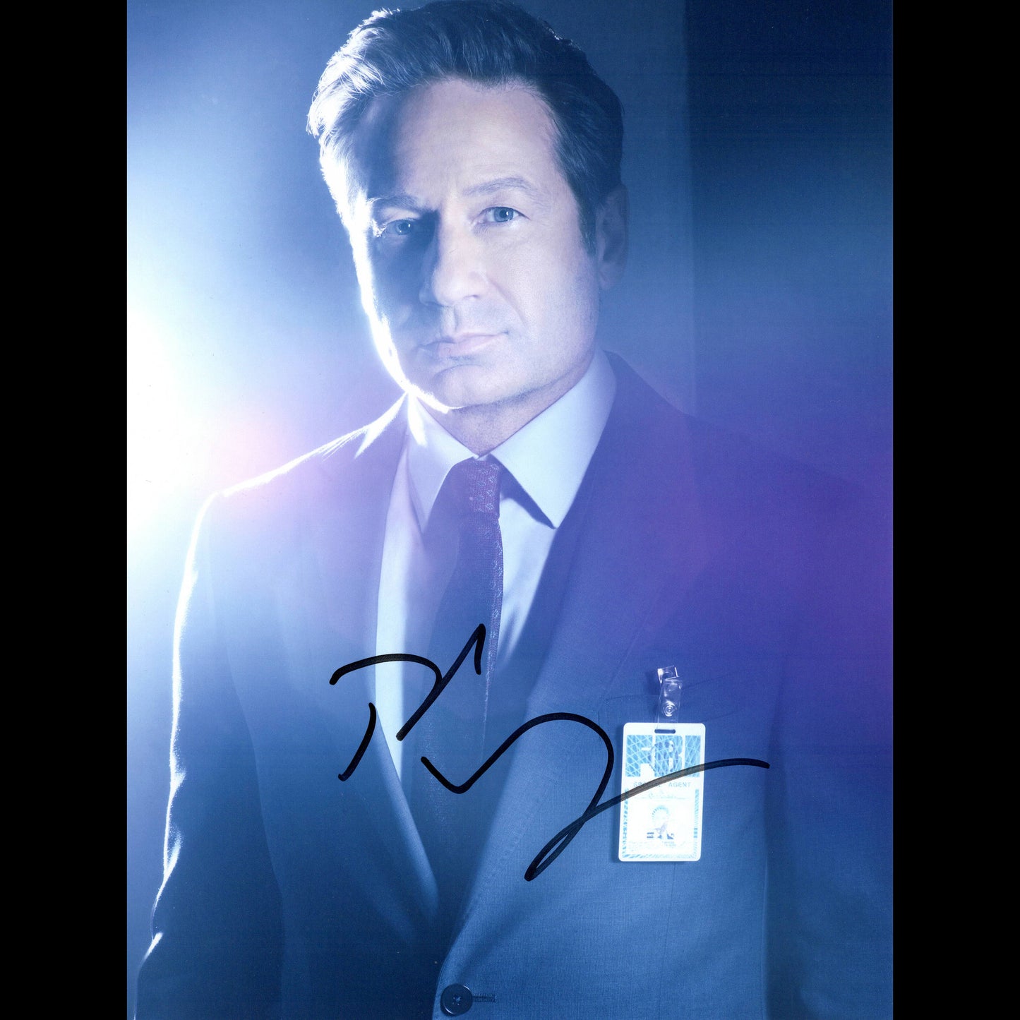 David DUCHOVNY (X-Files)