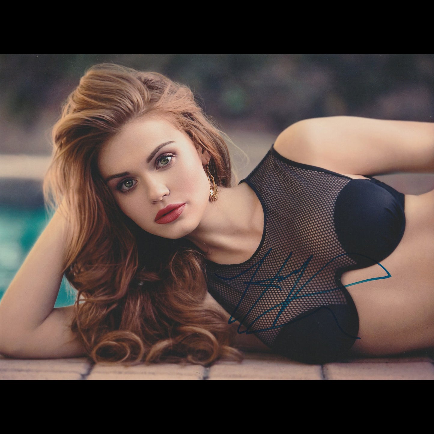 Holland RODEN
