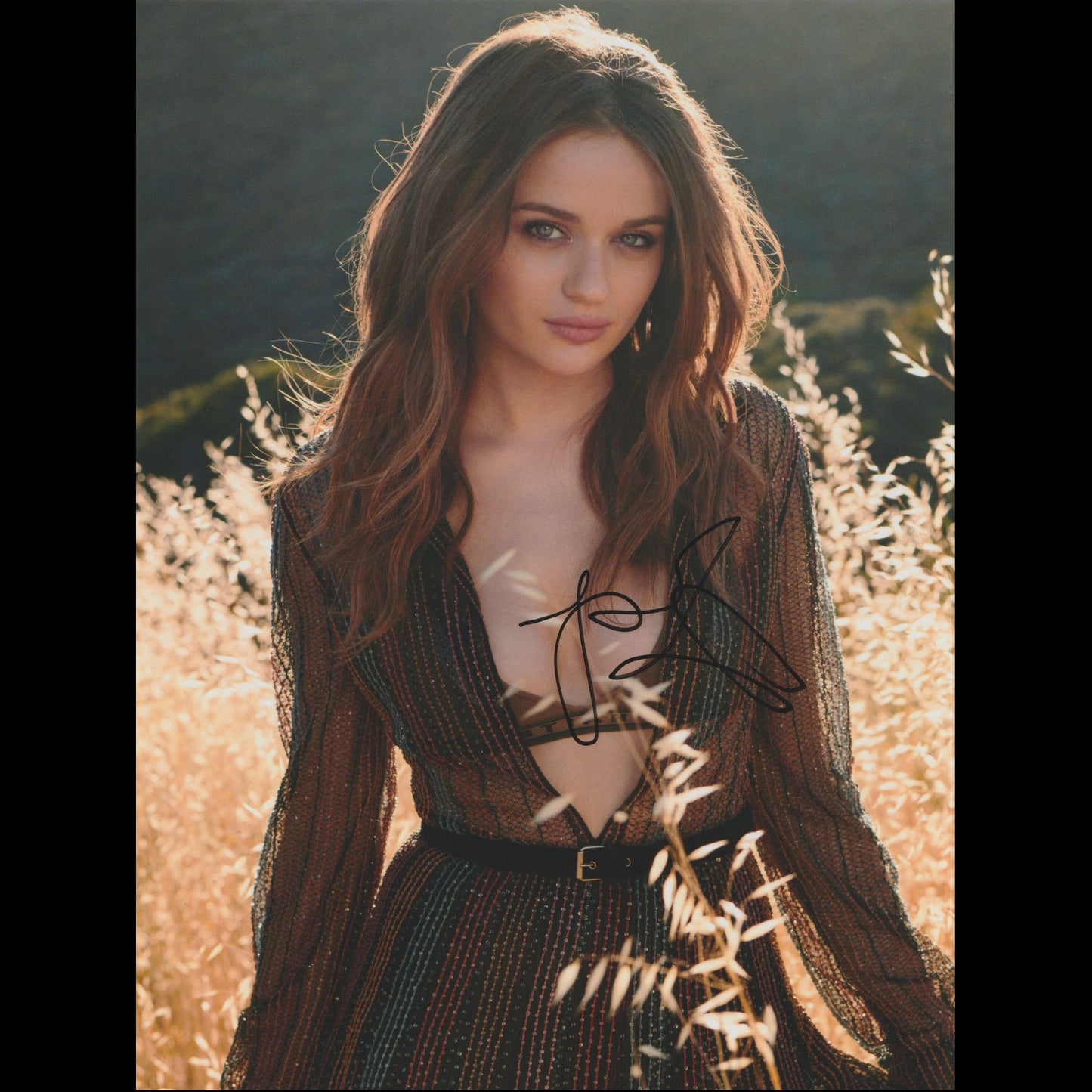 Joey KING