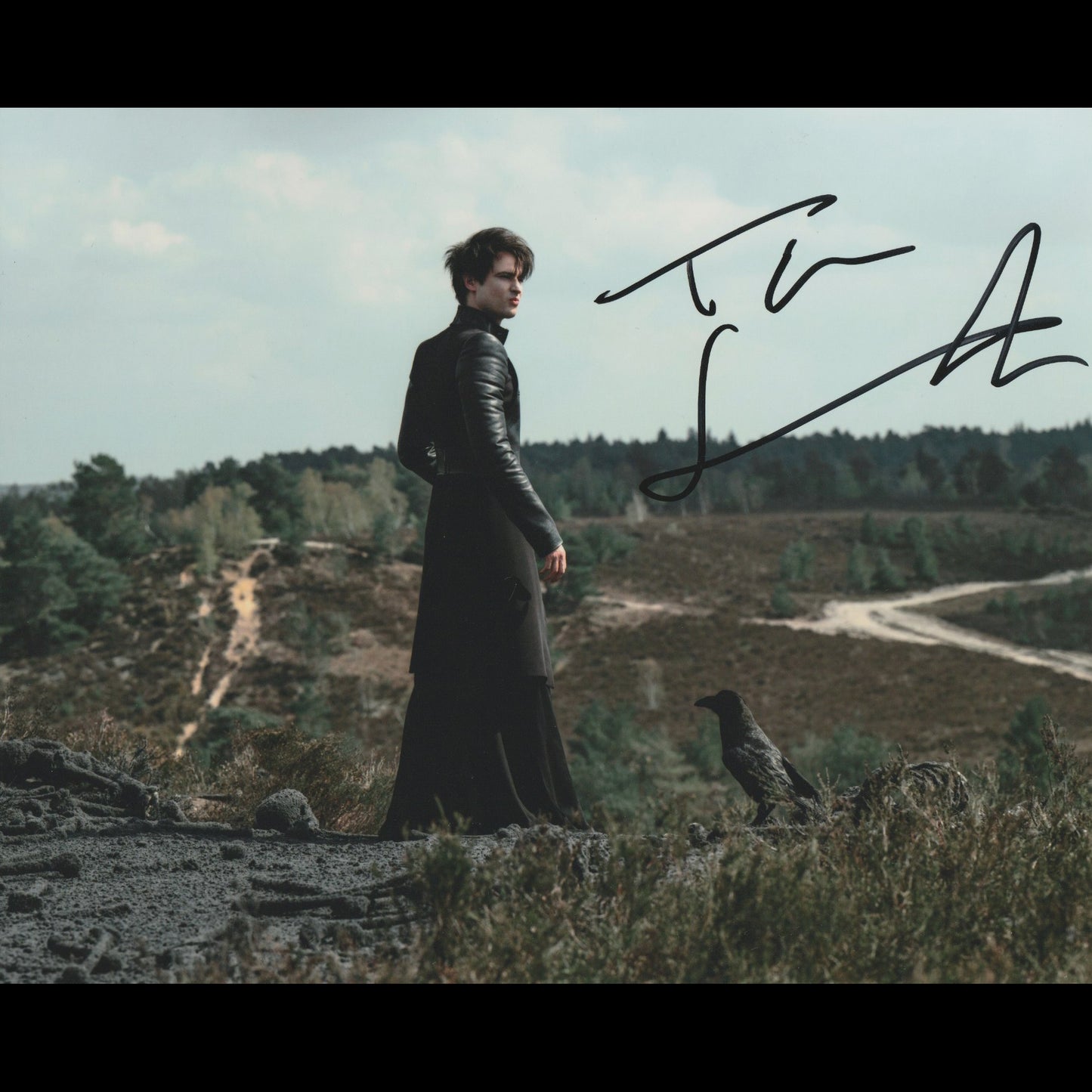 Tom STURRIDGE (Sandman)