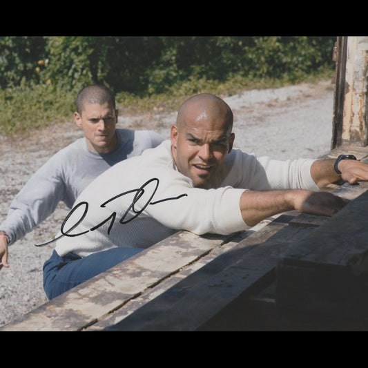 Amaury NOLASCO (Prison Break)