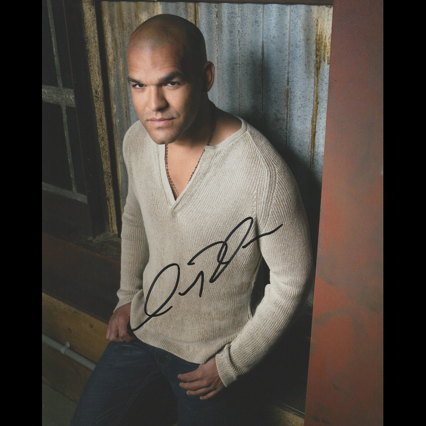 Amaury NOLASCO (Prison Break)