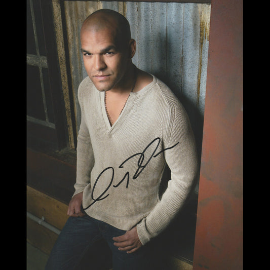 Amaury NOLASCO (Prison Break)