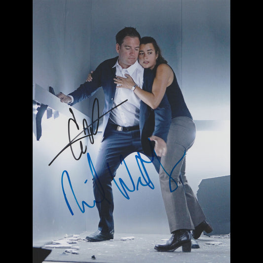 Michael WEATHERLY &amp; Cote DE PABLO (NCIS)