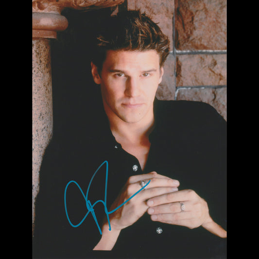 David BOREANAZ (Buffy the Vampire Slayer)