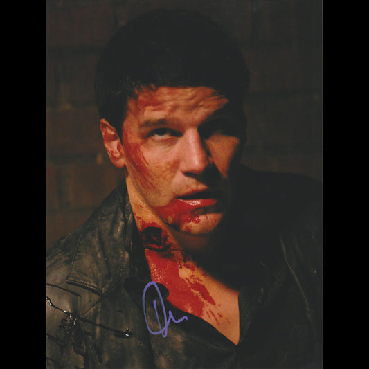 David BOREANAZ (Angel)