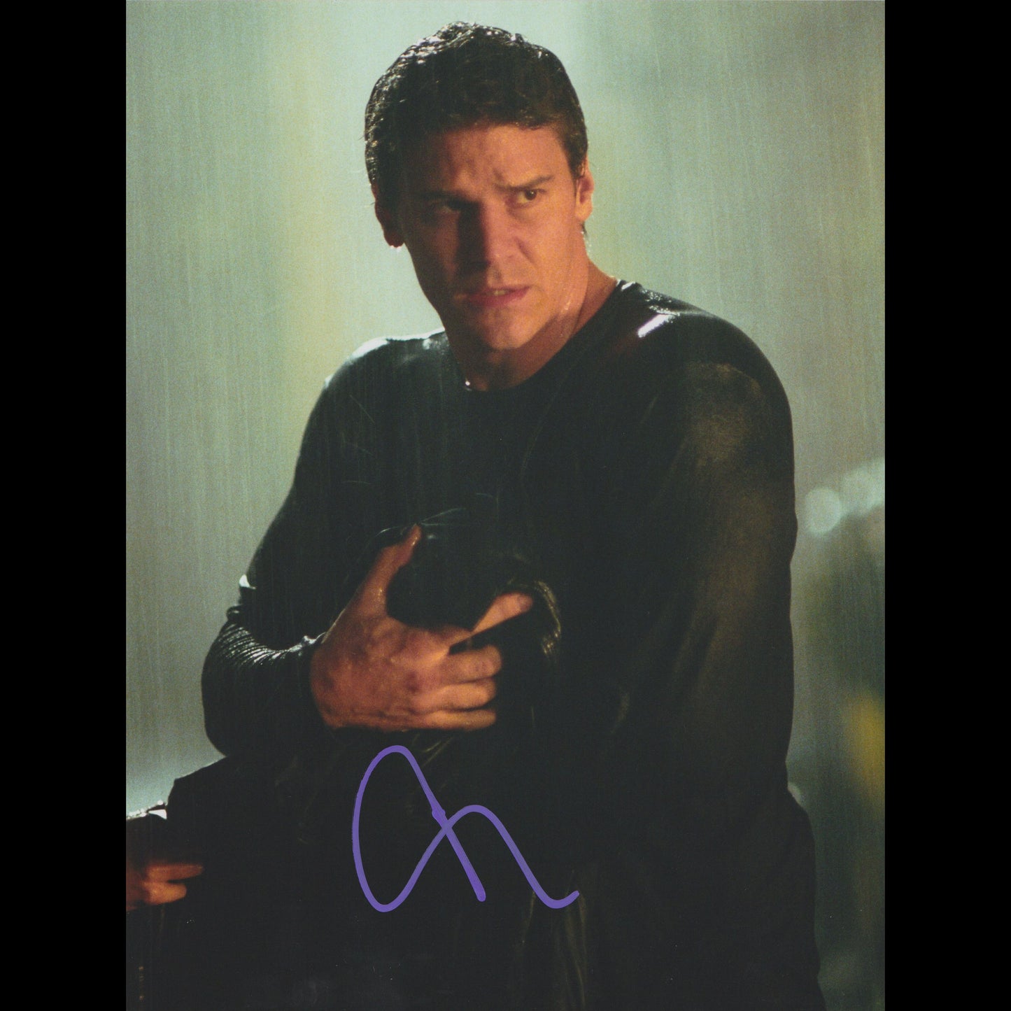 David BOREANAZ (Angel)