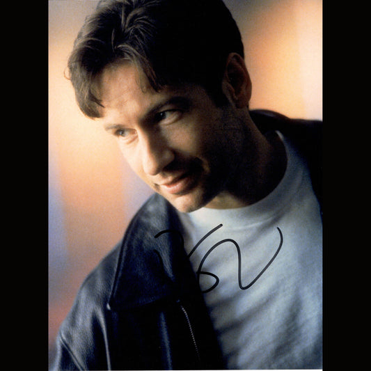 David DUCHOVNY (X-Files)