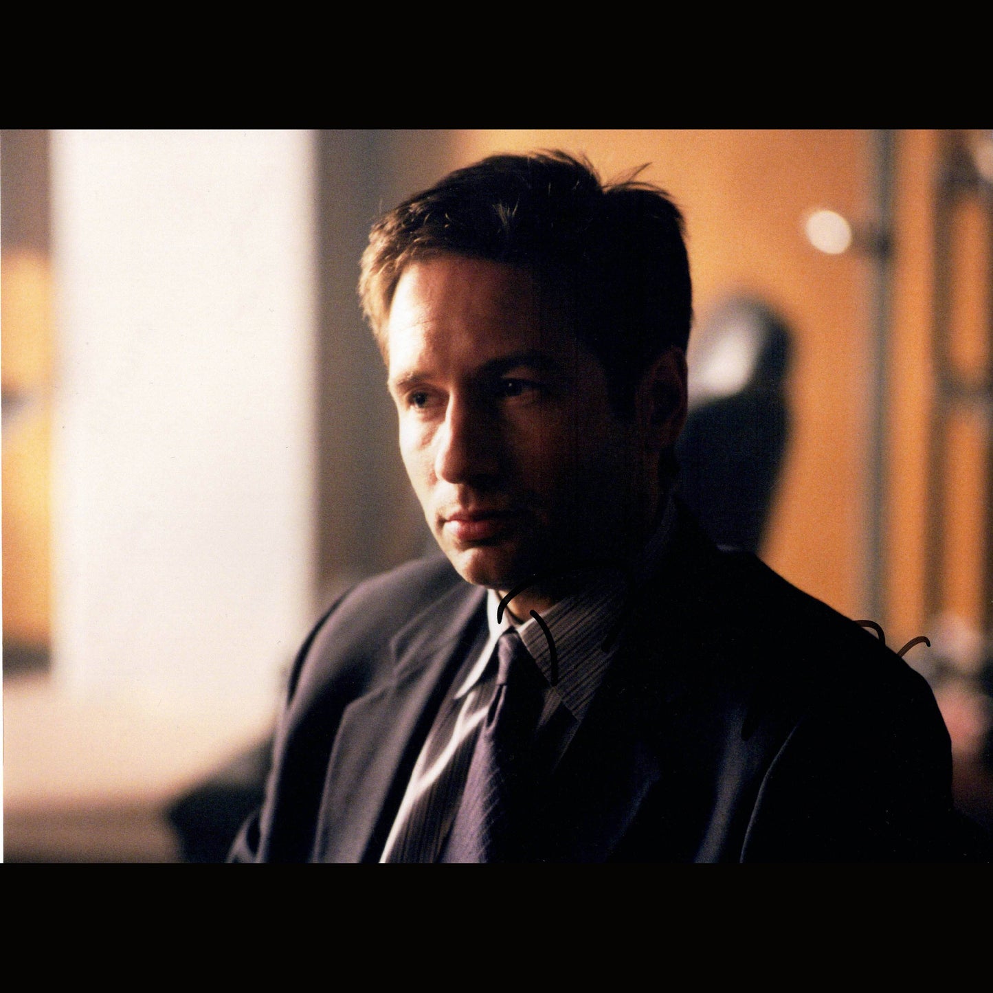 David DUCHOVNY (X-Files)