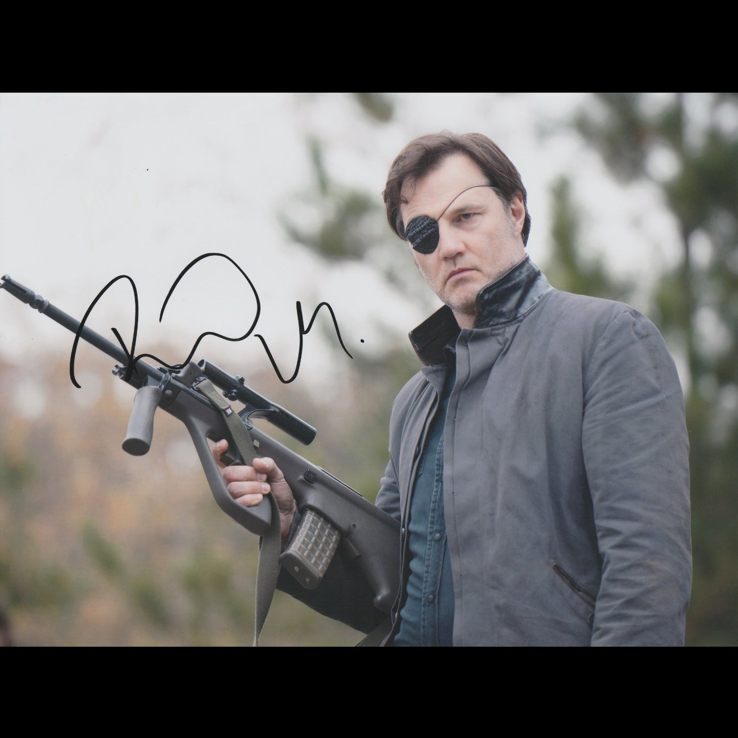 David MORRISSEY (The Walking Dead)
