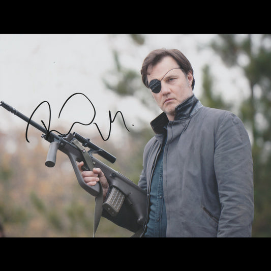 David MORRISSEY (The Walking Dead)