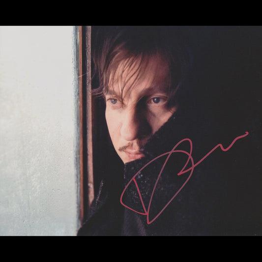 David THEWLIS