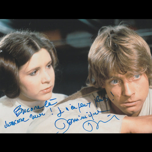 Dominique COLLIGNON-MAURIN