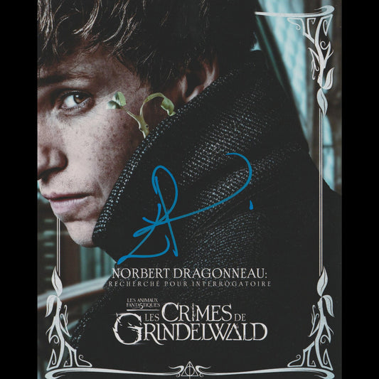 Eddie REDMAYNE