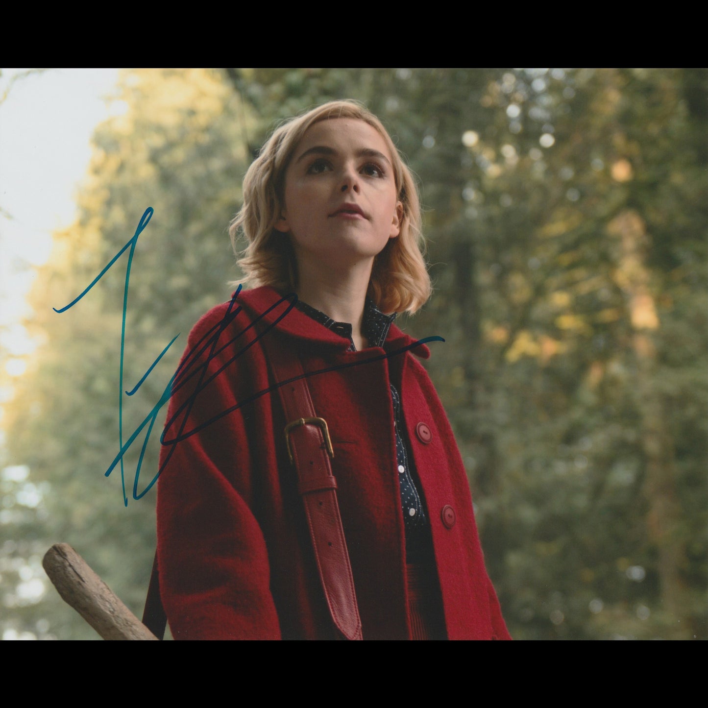 Kiernan SHIPKA (Les Nouvelles Aventures de Sabrina)