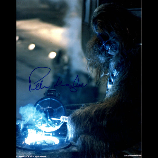 Peter MAYHEW