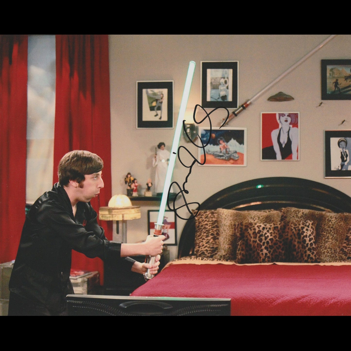 Simon HELBERG (The Big Bang Theory)