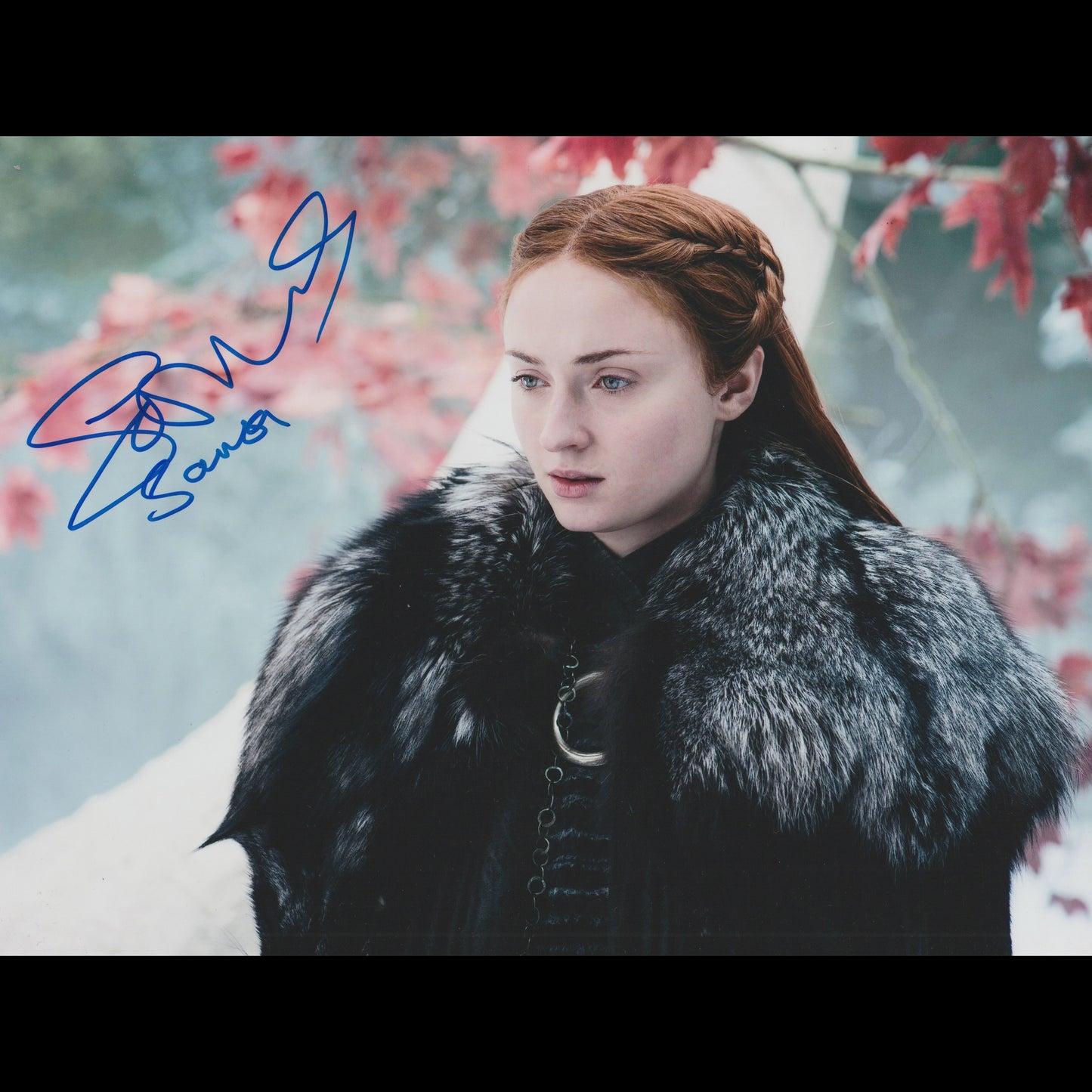 Sophie TURNER (Game of Thrones)