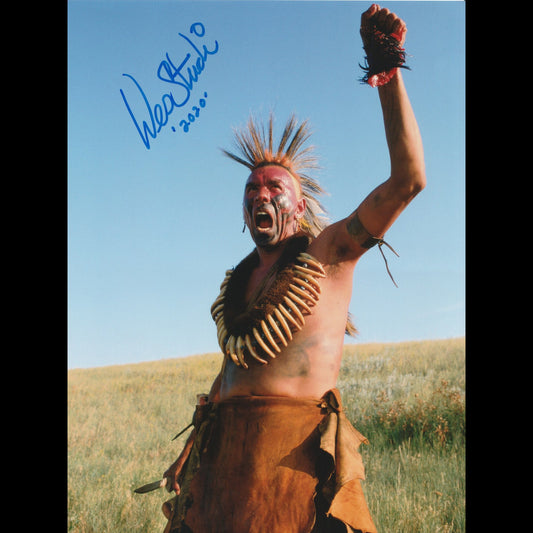 Wes STUDI